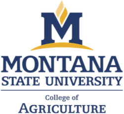 MSU College of Agriculture Logo